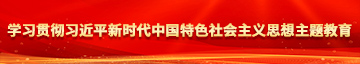 大吊抽插肥婆学习贯彻习近平新时代中国特色社会主义思想主题教育